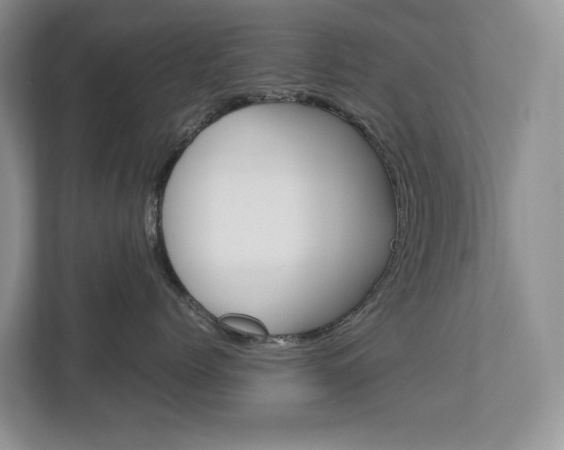 X0000113170768200909040934
