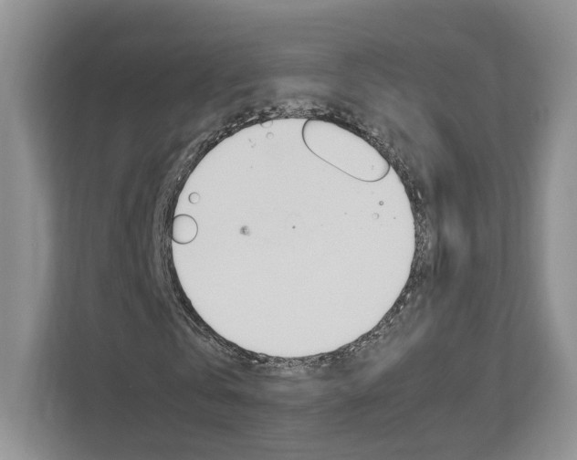 X0000113170769200909040933