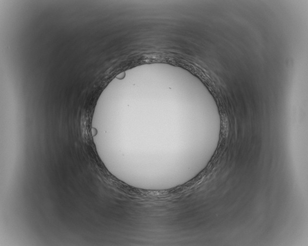 X0000113170770200909040933
