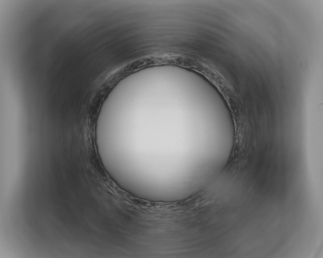 X0000113170773200909040933