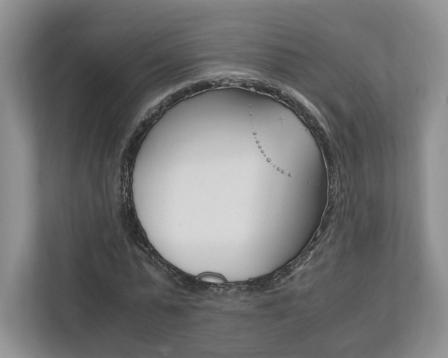 X0000113170775200909040933