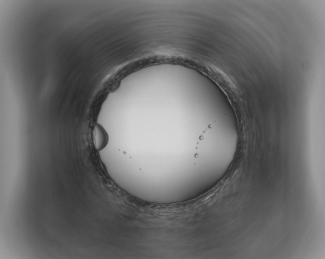 X0000113170776200909040933