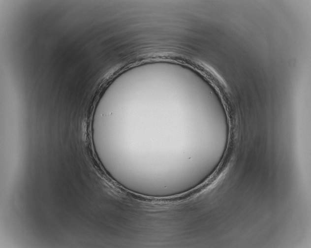 X0000113170777200909040933