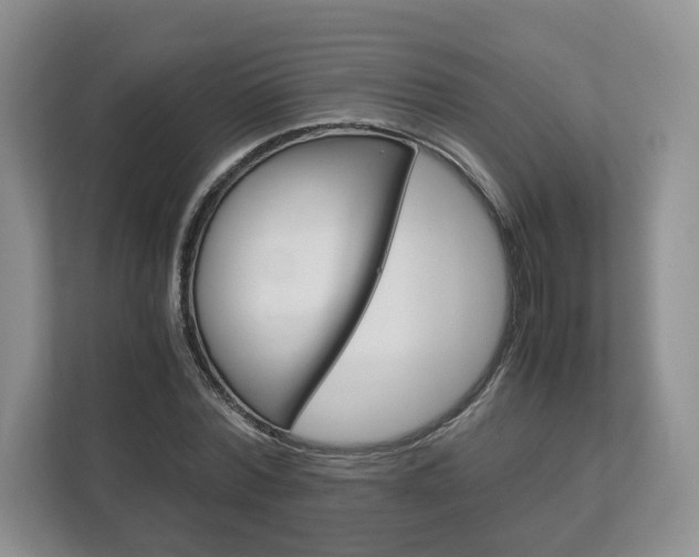 X0000113170780200909040933