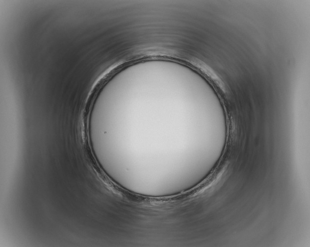 X0000113170782200909040933
