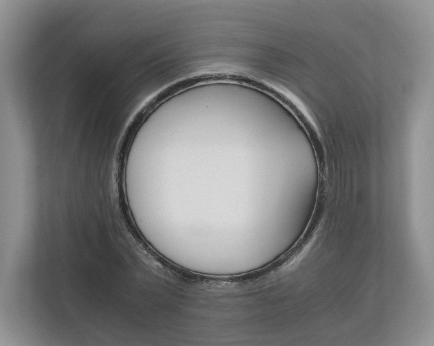 X0000113170783200909040933