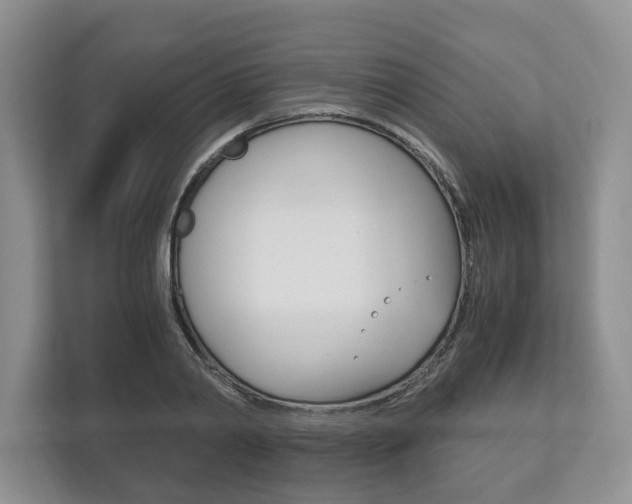 X0000113170790200909040933