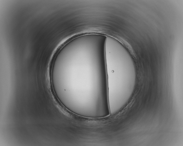 X0000113170792200909040933