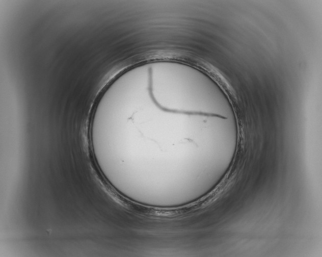 X0000113170794200909040933