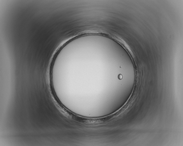 X0000113170795200909040933