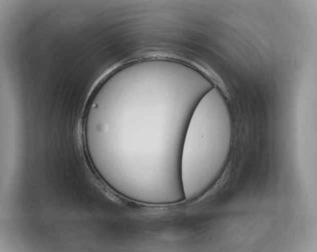 X0000113170798200909040933