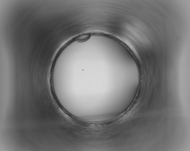 X0000113170799200909040933