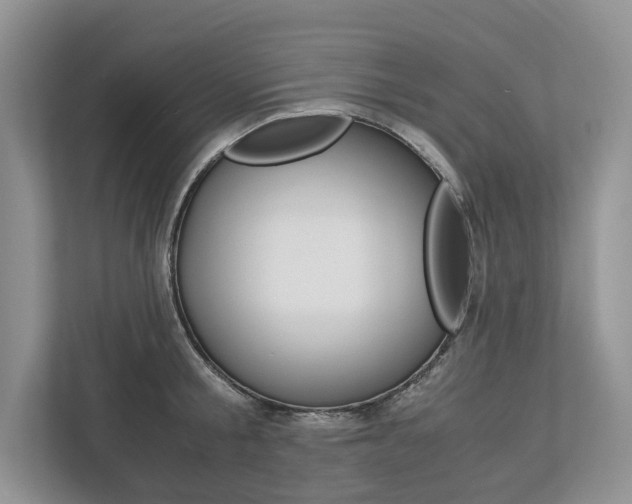 X0000113170805200909040933