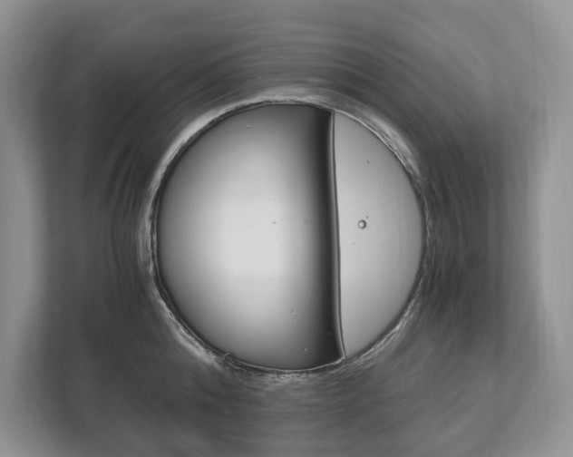 X0000113170808200909040933