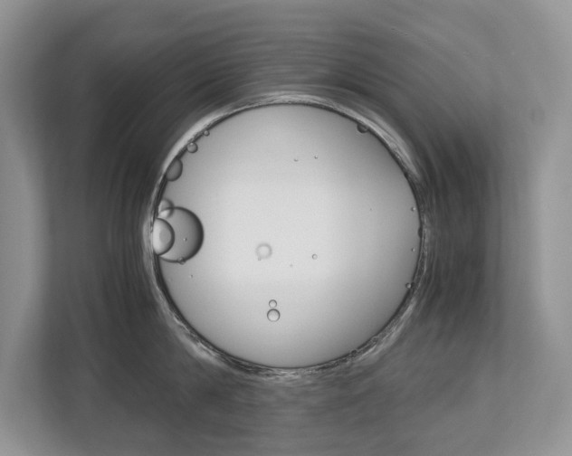 X0000113170814200909040933