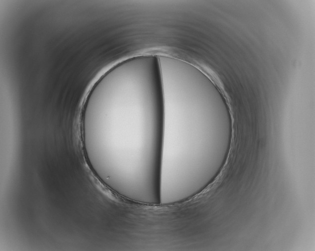 X0000113170816200909040933