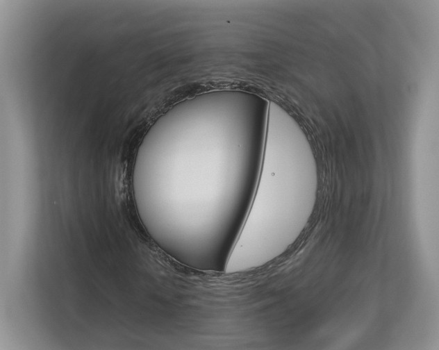 X0000113170818200909040932