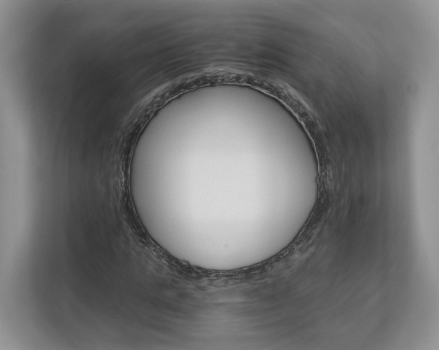 X0000113170821200909040932