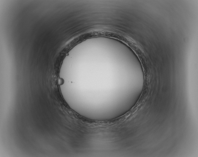 X0000113170822200909040932
