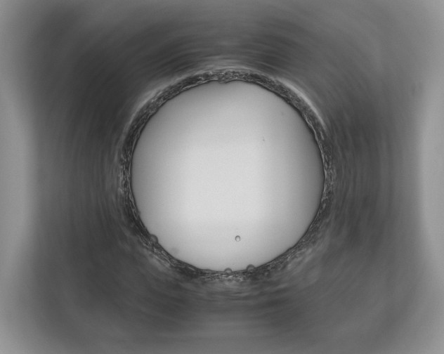 X0000113170823200909040932