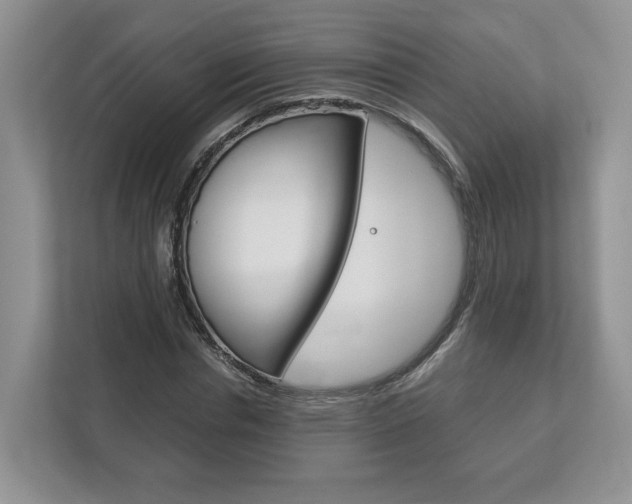 X0000113170826200909040932