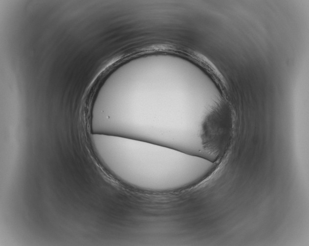 X0000113170827200909040932