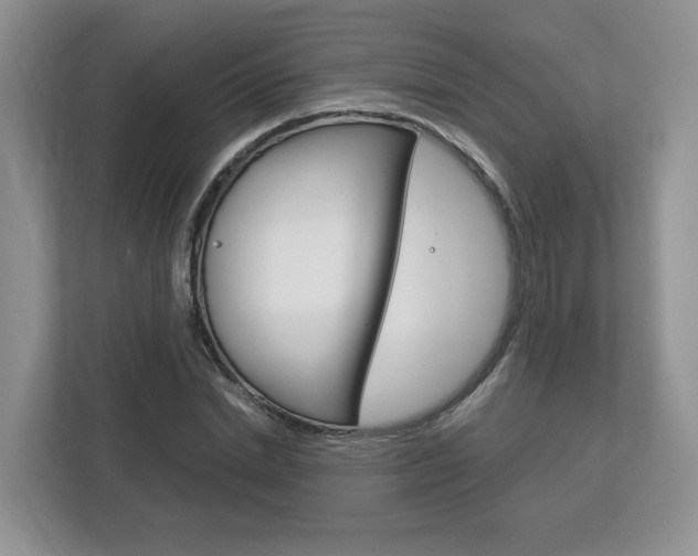 X0000113170830200909040932