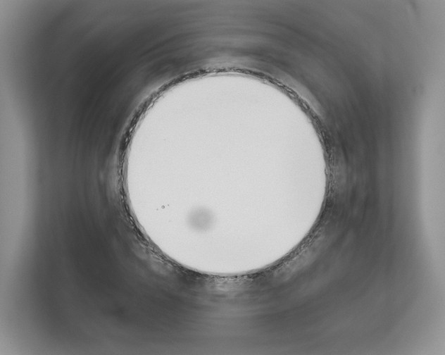 X0000113170832200909040932
