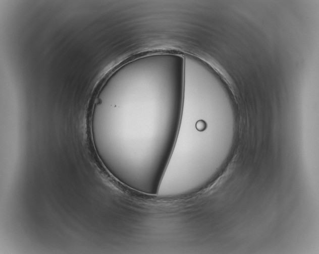 X0000113170834200909040932