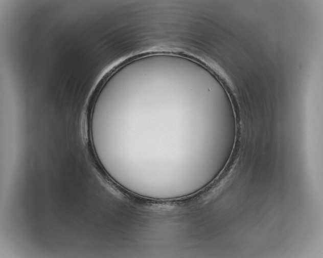X0000113170838200909040932