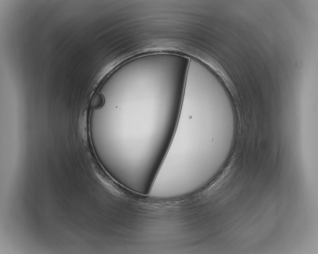 X0000113170842200909040932