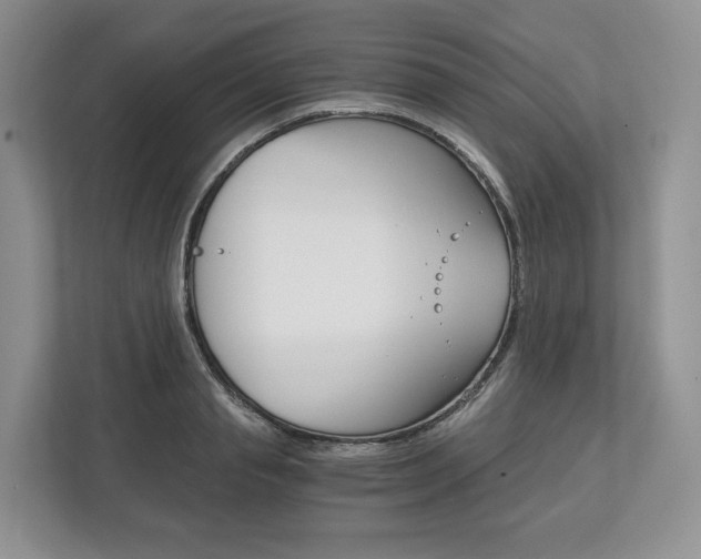 X0000113170845200909040932