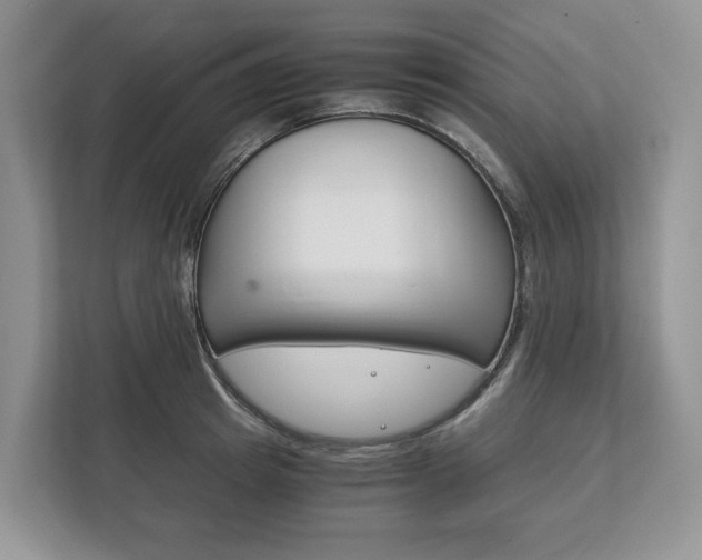 X0000113170849200909040932