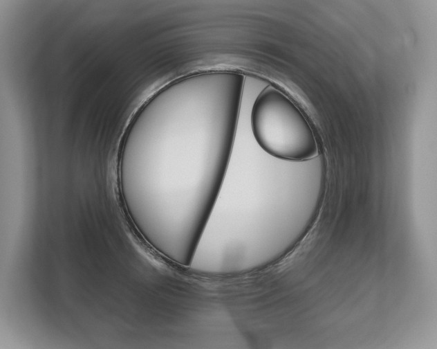 X0000113170850200909040932