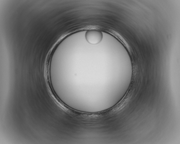 X0000113170851200909040932