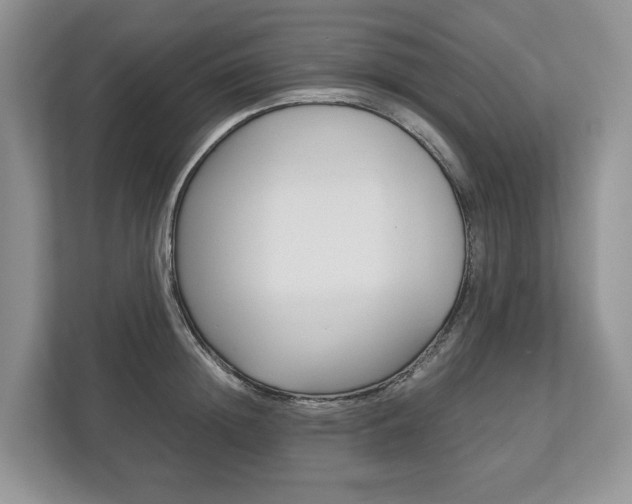 X0000113170852200909040932
