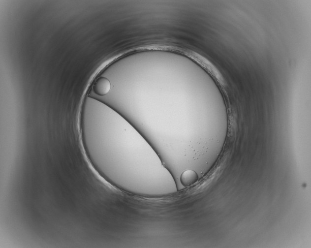 X0000113170855200909040932
