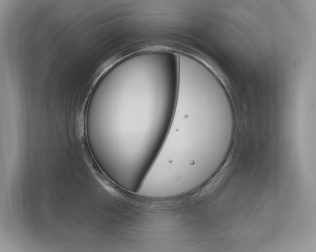 X0000113170858200909040932