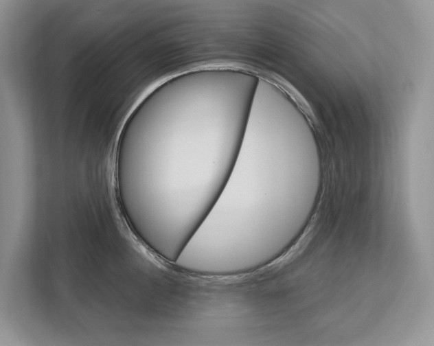 X0000113170860200909040932