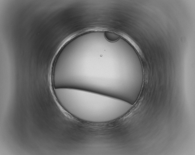 X0000113170861200909040932