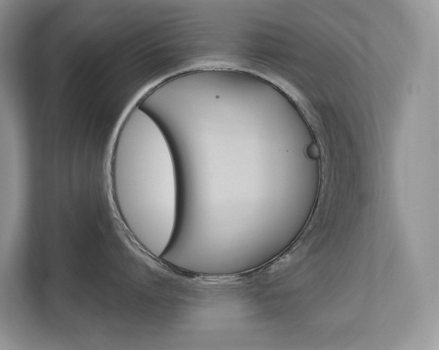 X0000113170864200909040933
