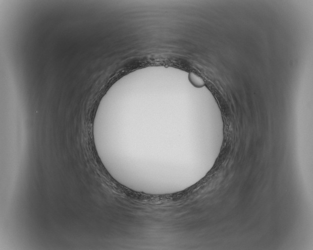 X0000113170865200909040932