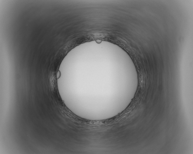 X0000113170866200909040932