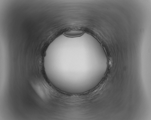 X0000113170867200909040932