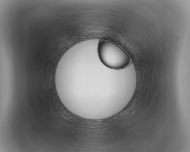 X0000113170868200909040932