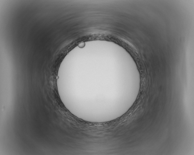 X0000113170869200909040932
