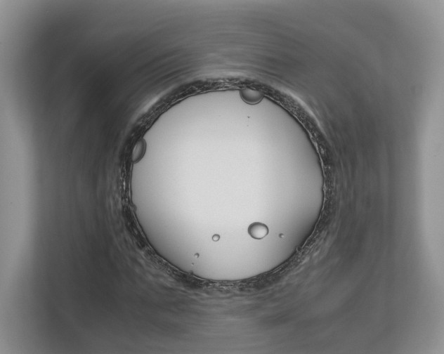 X0000113170871200909040932