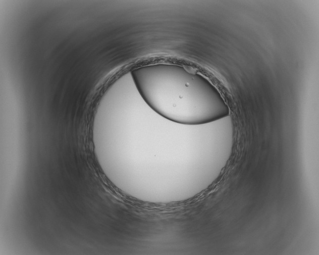 X0000113170872200909040932