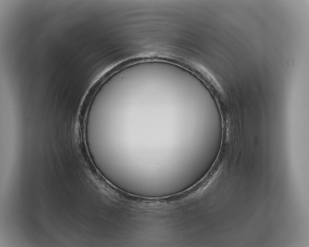 X0000113170876200909040932
