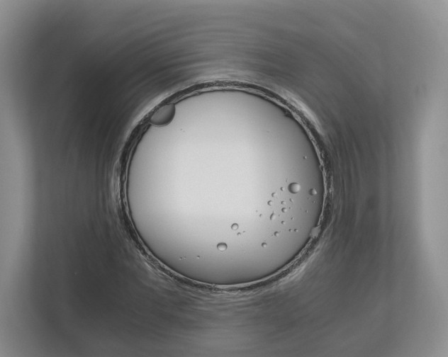 X0000113170877200909040932